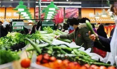 宁夏固原 蔬菜从产地到餐桌直供直销降价40