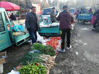 入冬菜价“一反常态” 潍坊市场上一元菜很常见